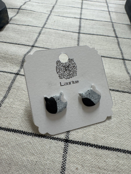 Puce d'oreille chat