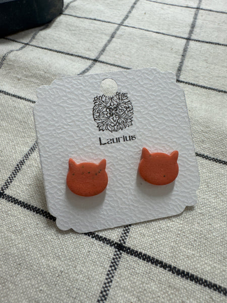Puce d'oreille chat