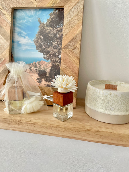 Diffuseur parfum pour véhicule