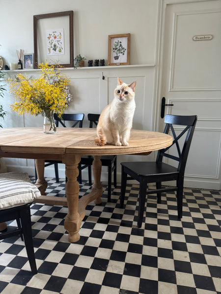 Table extensible